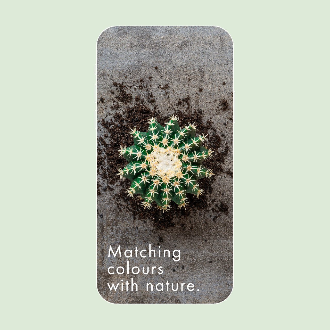 Lanceringscampagne Unilin Evola, cactus story